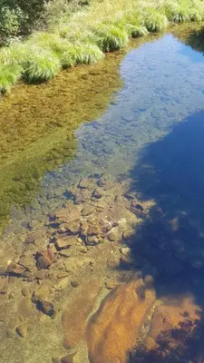 a body of water with rocks and grass at A Brava in Sas de Penelas