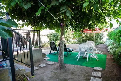 a group of chairs sitting on a green rug under a tree at El Mirador del Bierzo in Tedejo