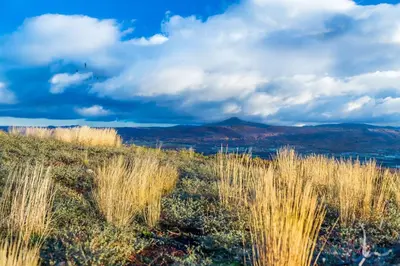 a field of tall grass with mountains in the background at Casa de Turismo Rural Sabariz in Sabariz