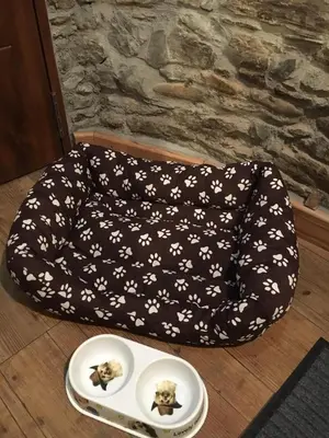 a dog bed with two plates of food on the floor at Narcea Turismo Real in Cangas del Narcea