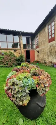 a planter filled with flowers in a yard at Rectoral de Anllo in Sober
