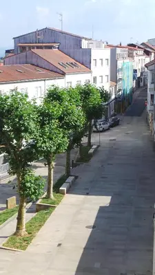 an empty street with trees in a city at Apartamento Barrio San Pedro in Santiago de Compostela