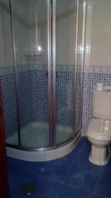 a bathroom with a shower and a toilet at Casa Rural Anxeliña in Boborás