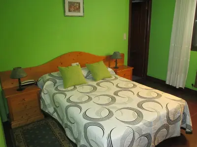 a bedroom with a large bed with green walls at Hotel Chola in Dorna