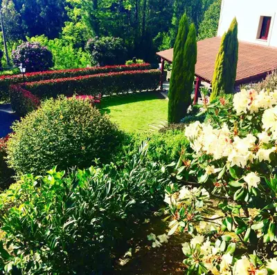 a garden with flowers and bushes and a house at Casa das Veigas in Santa Eulalia