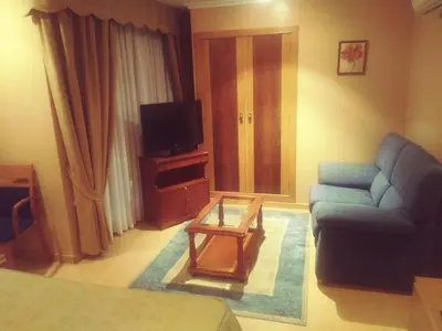 a living room with a couch and a tv at Hotel orly in Xinzo de Limia