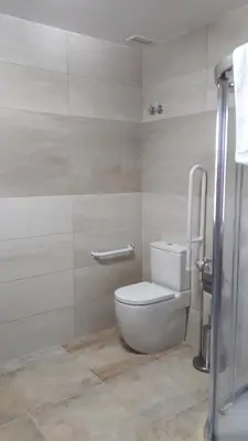 a bathroom with a white toilet and a shower at O Trancallo in Viana do Bolo