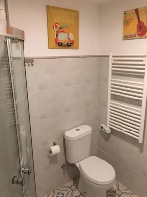 a small bathroom with a toilet and a shower at Bonita Casa en Pontedeume in Puentedeume