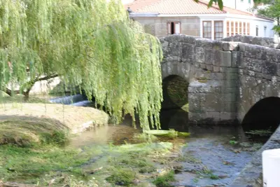 a bridge over a river with weeping willows at Hotel Roquiño in Caldas de Reis