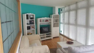 a living room with a couch and a tv at Dúplex Plaza Saco y Arce in Ourense