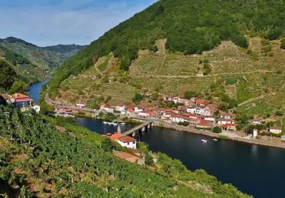 a village on a hill next to a river at Casa Manuela in Allariz