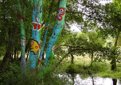 a group of trees in a forest next to a body of water at Casa Manuela in Allariz