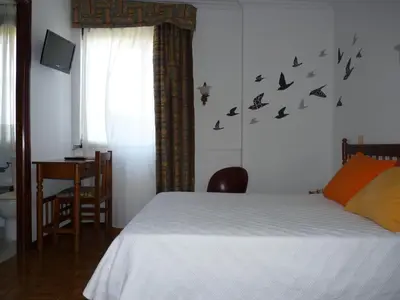 a bedroom with a bed with birds on the wall at Hotel España in Lugo