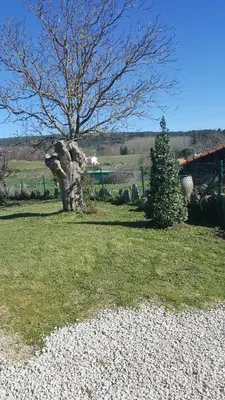 a tree sitting in a field next to a tree at Casa Mila in Doade
