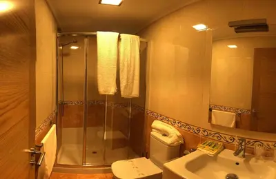 a bathroom with a shower and a toilet and a sink at Apartamentos Augusto in La Cañiza
