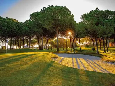a park with trees and a golf course at Traditional Apartment in Ribeira Sacra with Garden in Castillón