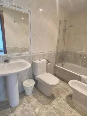 a bathroom with a toilet and a sink and a shower at Pensión Residencia Fornos in Santiago de Compostela