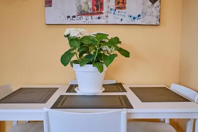 a white table with a plant in a vase on it at Peregrina Pensión 1 in O Pedrouzo