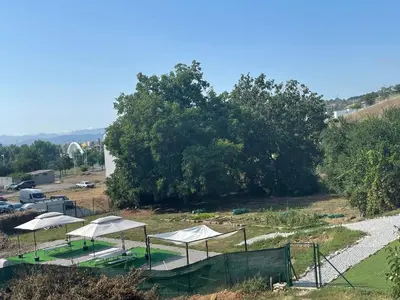 a group of white umbrellas in a field at La Rosa Azul Rooms-Grupo Rosa Azul in Ponferrada
