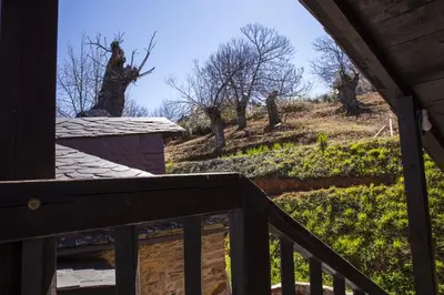 a view from the deck of a cabin with trees at O Palleiro do Pe do Forno in Orellán