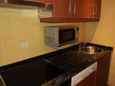 a kitchen with a sink and a microwave at Apartamentos Casa Rosendo in Cangas del Narcea