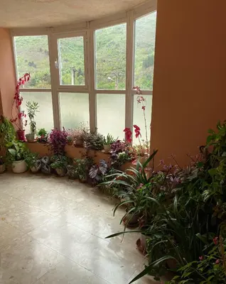 a room with a bunch of plants and windows at A lastra in Villamartín