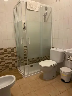 a bathroom with a shower and a toilet and a sink at A lastra in Villamartín