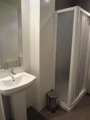a white bathroom with a sink and a shower at Hotel Irixo in Ourense