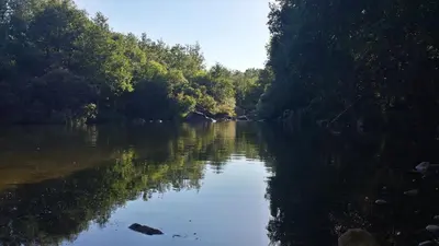 a river with trees reflecting in the water at CASA RURAL El Refugio del Poeta in Triufé