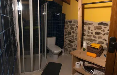 a bathroom with a shower and a toilet and a sink at Apartamentos Rurales A Torre in Porqueira