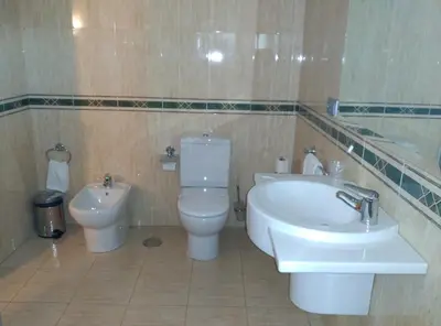 a bathroom with a white toilet and a sink at Hotel San Cibrao in San Ciprián de Viñas