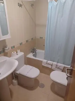 a bathroom with a toilet and a sink and a shower at Hotel 2 de mayo 2 in Xinzo de Limia