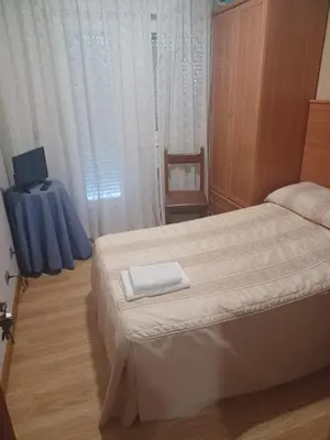 a bedroom with a bed and a television in it at Hotel 2 de mayo 2 in Xinzo de Limia