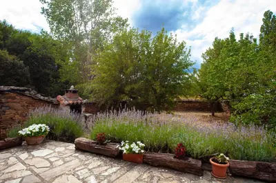 a garden with plants and flowers in a yard at CASA COLOMBA in Santa Colomba de Somoza