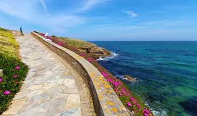 a retaining wall next to the ocean with flowers at Playa de Foz Hotel & Spa by gaiarooms in Foz