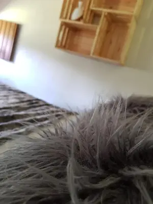 a pile of hair laying on the floor of a room at Elteixorural in Teijois
