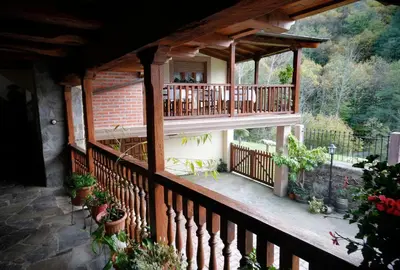 a balcony of a house with potted plants on it at Casa Agudín in Cangas del Narcea