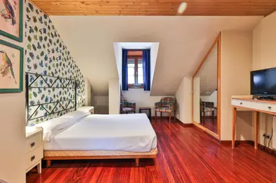 a bedroom with a large bed and a tv at Hotel Casa Miño in Pola de Somiedo