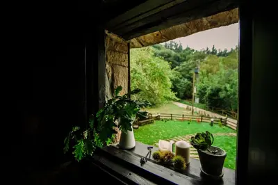 a window with a view of a garden from a house at Casa Calma Rural in Taramundi