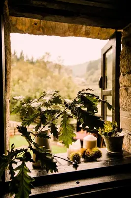 a potted plant sitting on a window sill at Casa Calma Rural in Taramundi