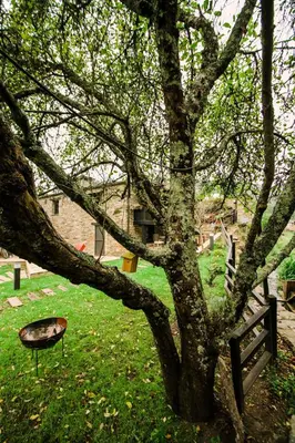 a tree with a grill next to a green field at Casa Calma Rural in Taramundi