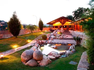 a group of animals in a pond in a yard at Moreiriña- Bentraces in Bentraces