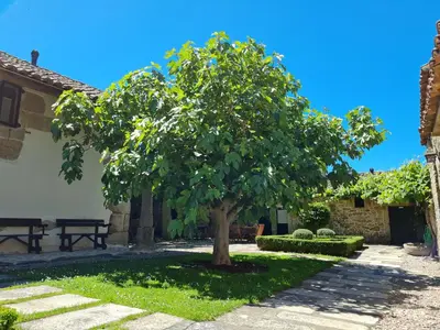 a tree in the courtyard of a house at Pazo de Eidian in Eidián