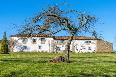 a tree in a field in front of a building at Pazo de Eidian in Eidián