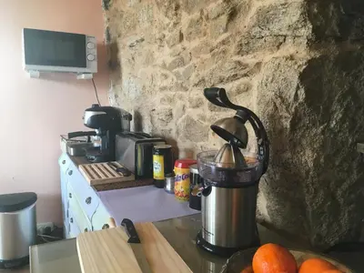 a kitchen counter with a blender on a table at Casa Antoni@ in Parada del Sil