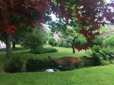 a rock sitting in the grass next to a stream at Finca Galea in Carballido
