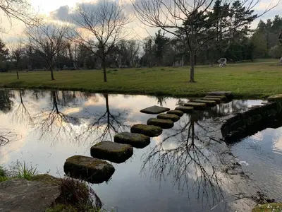 a stone path in a pond in a park at Finca Galea in Carballido