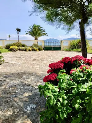 a garden with red flowers and palm trees at Covas Seabreeze Cottage in Viveiro