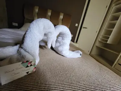 a white towel is coming out of a box on a bed at Casa Maral in Pontevedra