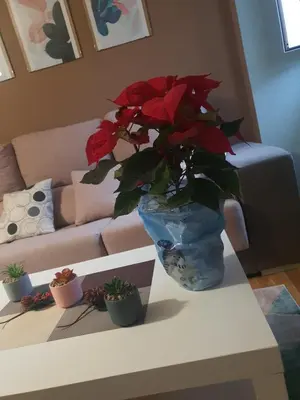 a vase with red flowers on a table in a living room at Casa Maral in Pontevedra